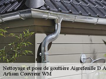 Nettoyage et pose de gouttière  aigrefeuille-d-aunis-17290 Artisan Couvreur WM 