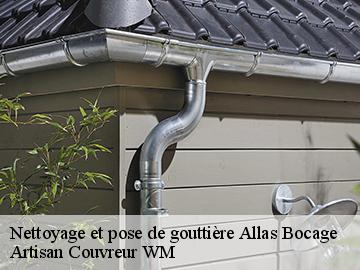 Nettoyage et pose de gouttière  allas-bocage-17150 Artisan Couvreur WM 