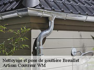 Nettoyage et pose de gouttière  breuillet-17920 Artisan Couvreur WM 