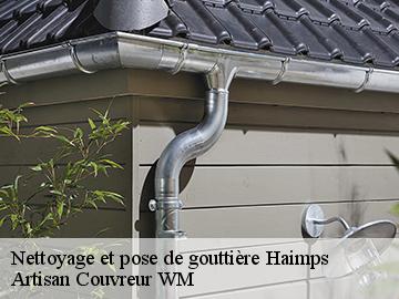 Nettoyage et pose de gouttière  haimps-17160 Artisan Couvreur WM 