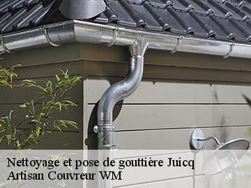 Nettoyage et pose de gouttière  juicq-17770 Artisan Couvreur WM 