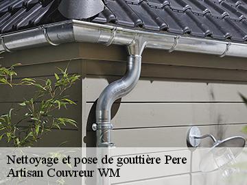 Nettoyage et pose de gouttière  pere-17700 Artisan Couvreur WM 