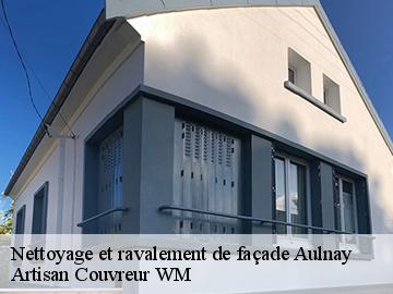 Nettoyage et ravalement de façade  aulnay-17470 Artisan Couvreur WM 