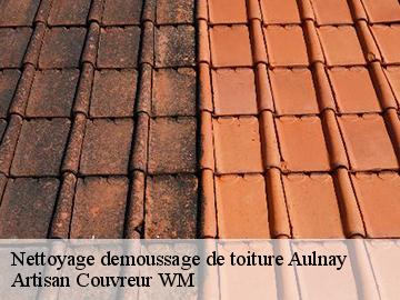 Nettoyage demoussage de toiture  aulnay-17470 Artisan Couvreur WM 