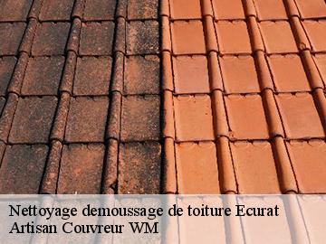 Nettoyage demoussage de toiture  ecurat-17810 Artisan Couvreur WM 