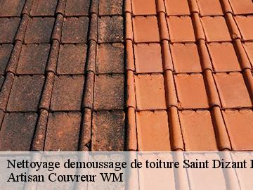 Nettoyage demoussage de toiture  saint-dizant-du-bois-17150 Artisan Couvreur WM 