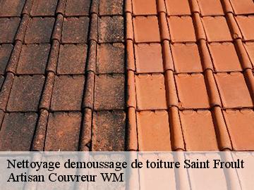 Nettoyage demoussage de toiture  saint-froult-17780 Artisan Couvreur WM 