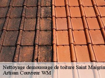 Nettoyage demoussage de toiture  saint-maigrin-17520 Artisan Couvreur WM 